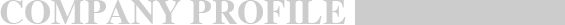 公司簡(jiǎn)介